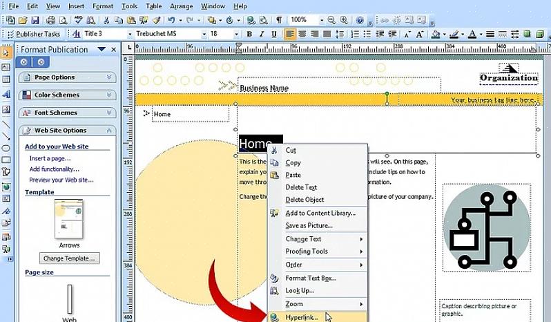 Web-sivustojen julkaiseminen Microsoft Publisher -sovelluksella ei ole yleensä edistynein tapa lisätä