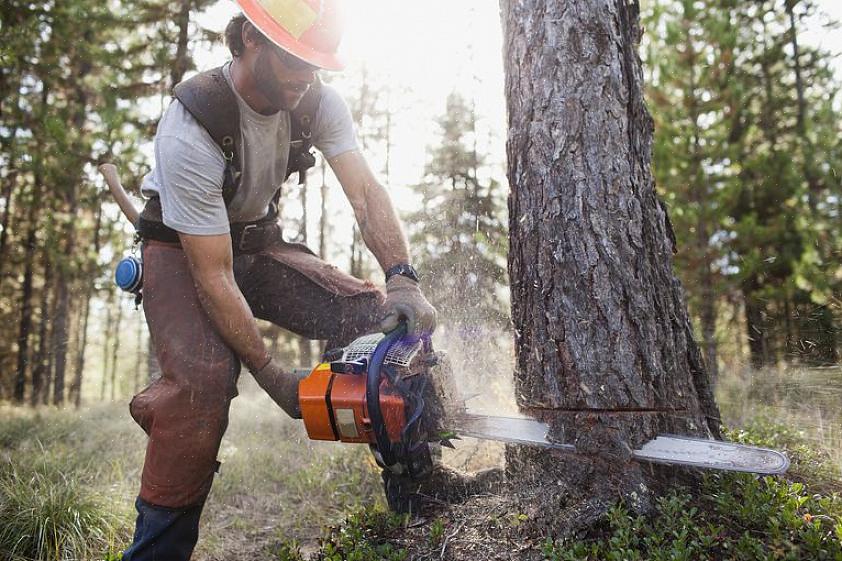 Että alue on turvallinen moottorisahan käyttäjälle jalkapohjalta