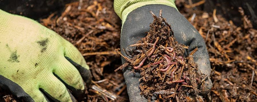 Yleisimmät orgaanisen maaperän muutokset ovat kompostia