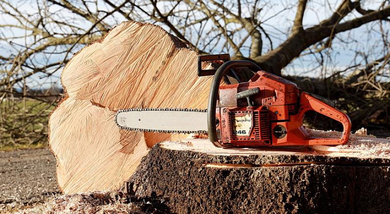 Oksien leikkaaminen kaatuneesta puusta ei ole aina helppoa