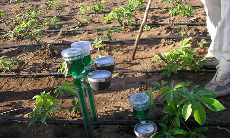 Maapallon valmistamisen lisäksi voit myös testata maaperän laatua tekemällä maaperän vesikoestimen