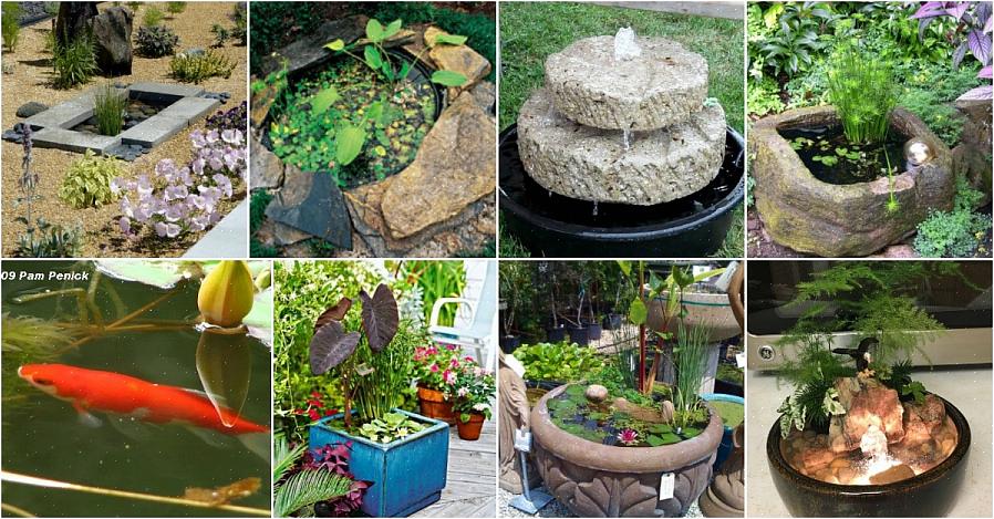 Voit helposti tehdä oman sisätilojen vesipuutarhan paikallisen puutarhakaupan materiaaleilla