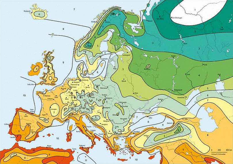 Mitkä kasvit parhaiten viljellään puutarhassa