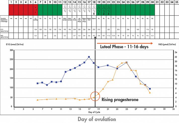 Billings Ovulation Method (BOM) tarjoaa seuraavat edut