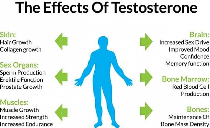 Että vähärasvainen ruokavalio alentaa testosteronin kokonais