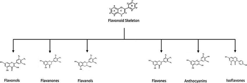 Flavonoideja löytyy monista erilaisista hedelmistä