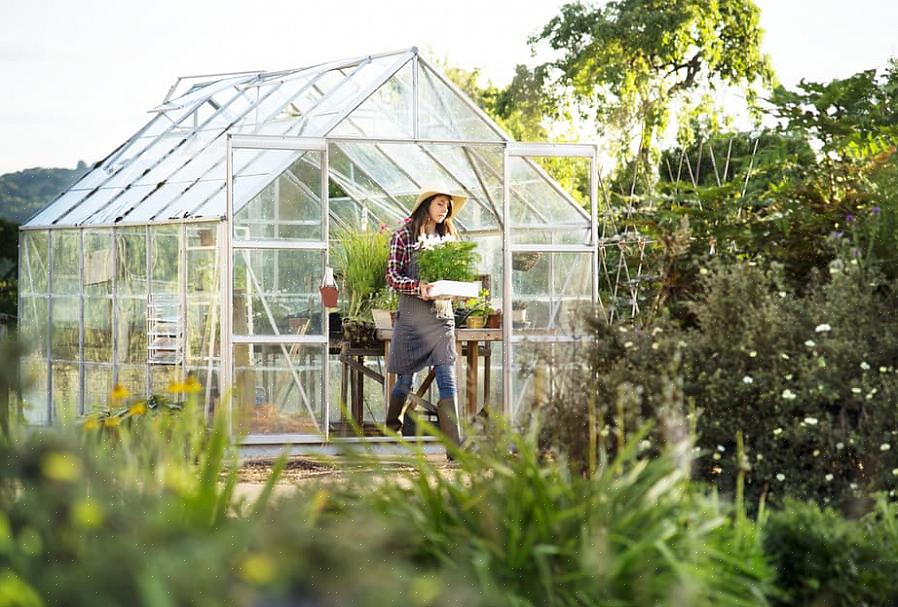 Puutarhakasvihuone on lasista tai muovista valmistettu strukturoitu puutarhatalo