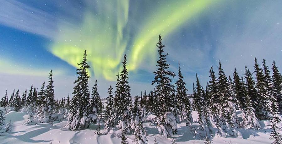 Jännittävä tapa aloittaa luontokuvausurasi on liittyä valokuvauskilpailuihin