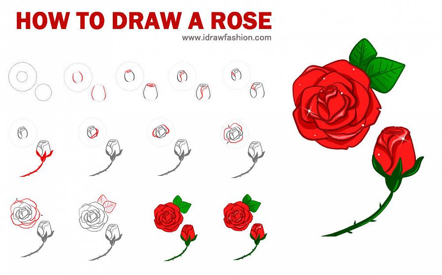 Jos haluat piirtää ruusun vapaan käden