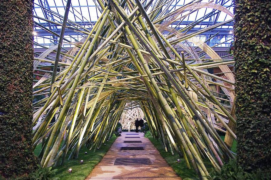 Tylsän puutarhan piristämiseksi bambupuutarhan vetovoiman lisääminen luo ainutlaatuisen ilmeen