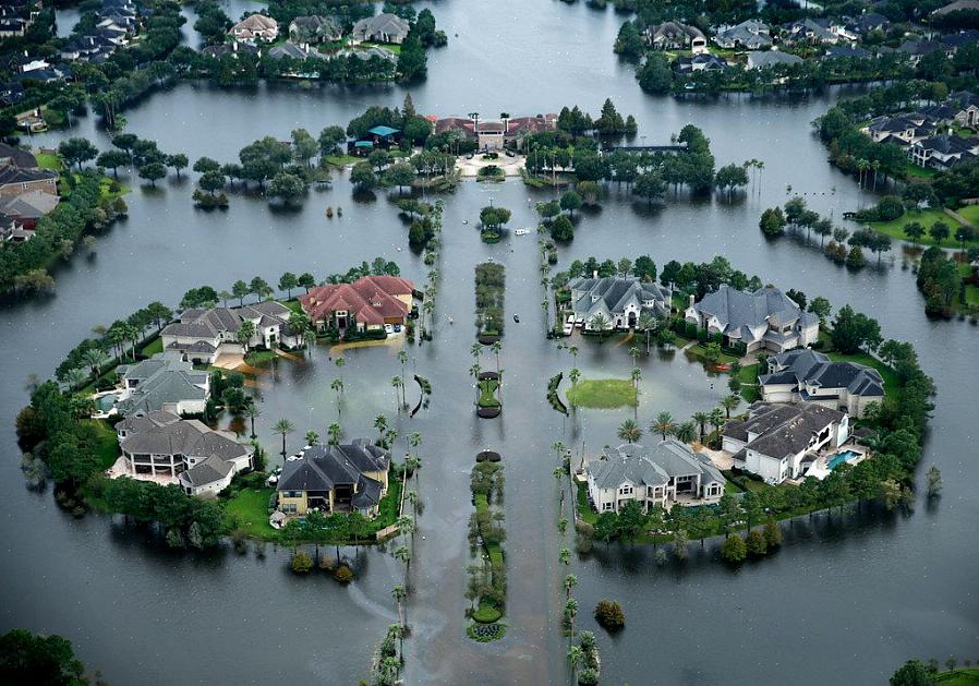 Tässä on muutamia vinkkejä maiseman ylläpitämiseen Pohjois-Texasissa helmikuun aikana