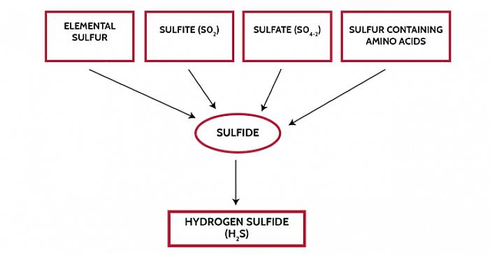 Jota usein syntyy hajoamalla jätemateriaaleja