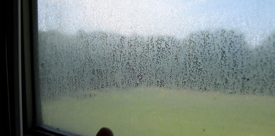 Pese ikkunat uudelleen puhtaalla vesijohtovedellä jäljellä olevien kovan veden tahrojen poistamiseksi