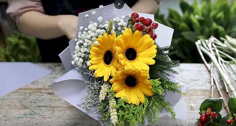 Gerbera tai Gerber koiranputkea ovat ihanteellisia kukka-asetelmiin astioissa