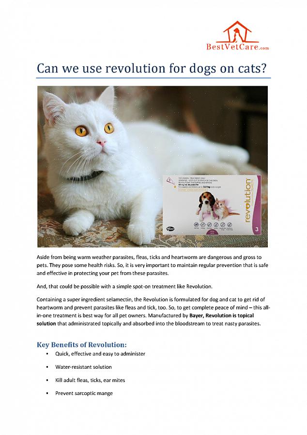 Että Revolution vaatii reseptin kissasi eläinlääkäriltä