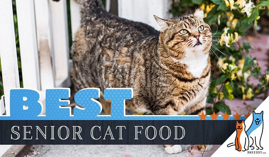 Vaihda tabby helposti ikään sopivaan helposti sulavaan kissanruokavalmisteeseen