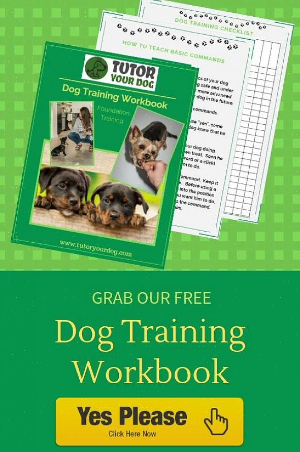 Karen Pryor Clicker Training for Dogs tarjoaa hyvän edun useimmille koiranomistajille