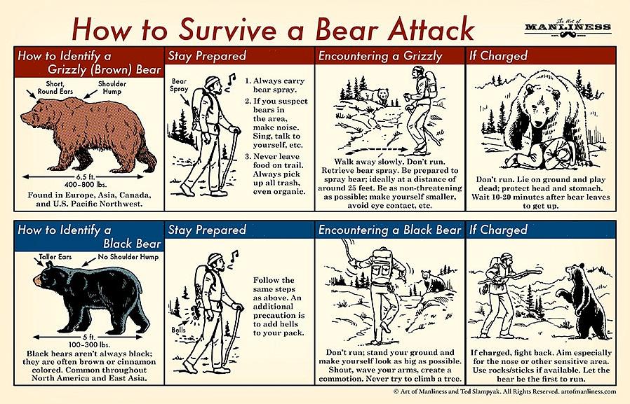 Osaa välttää mustan karhun asettaminen kumpaankin tilanteeseen