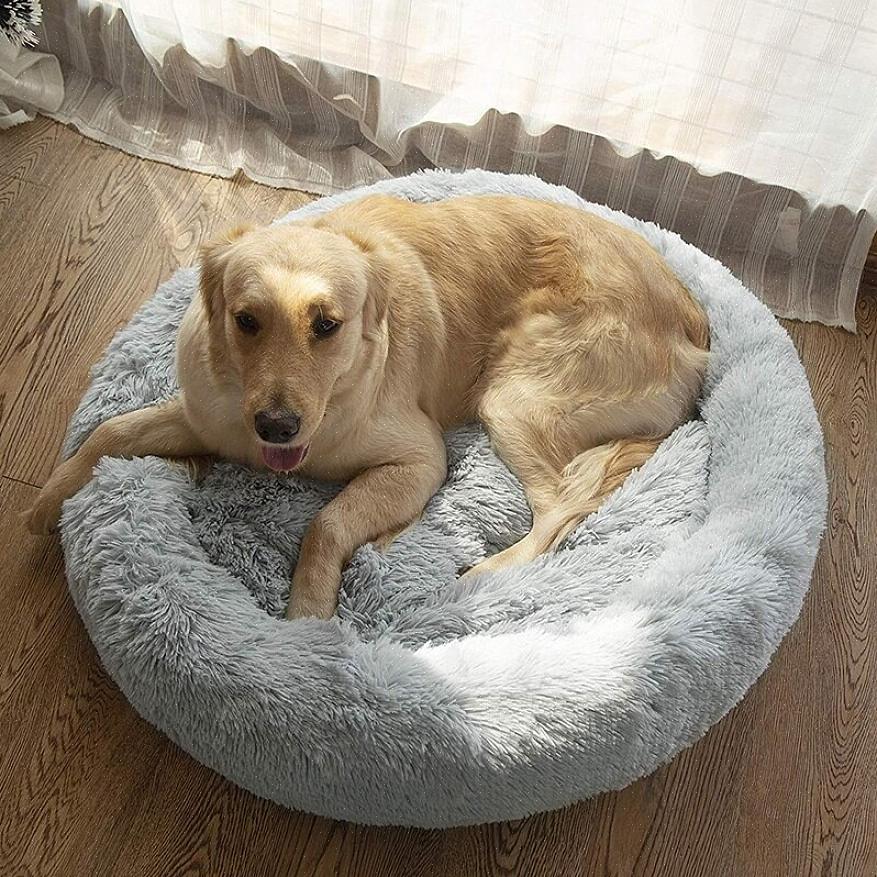Tilanteeseen on parasta hankkia yksinkertainen tyyny sänky koirallesi