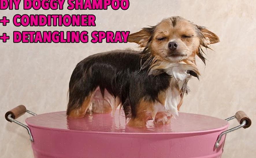 Kotitekoisen koiran shampoon tekeminen on lueteltu alla