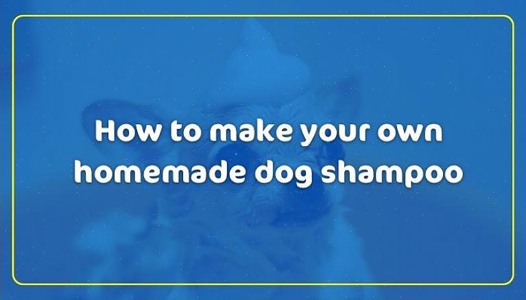 Tämä glyseriini auttaa pitämään yhdessä suurimman osan koiran shampoosiseoksesta