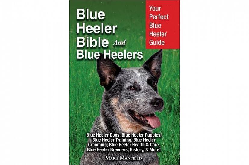 Jotka voivat auttaa sinua oppimaan huolehtimaan Blue Heeleristä