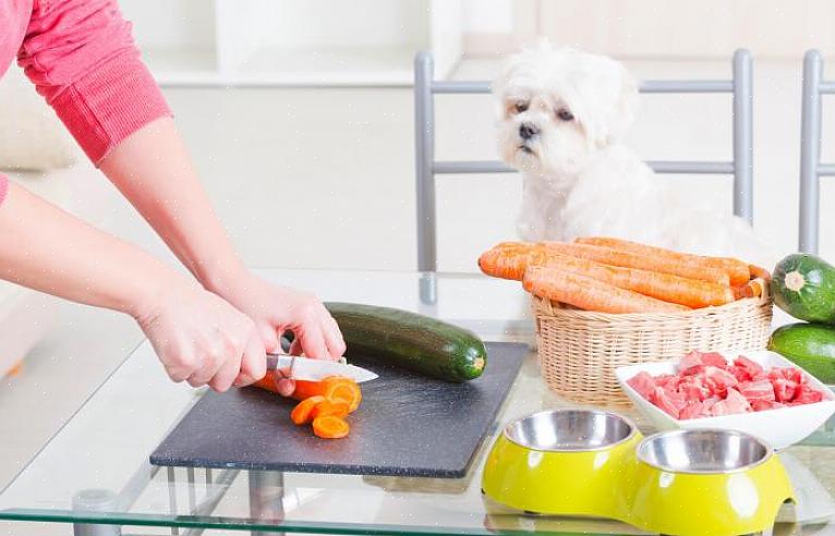 Lemmikkikoirasi hoitamiseksi sinun on tarjottava koirille terveellistä ruokaa