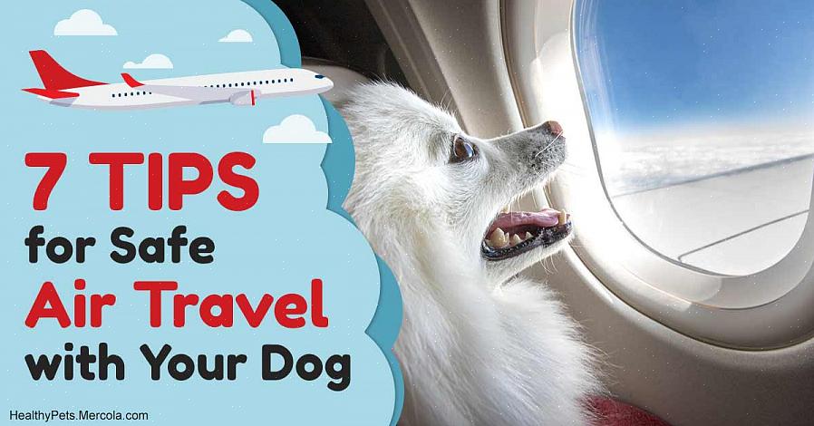 Että lentoyhtiön henkilökunta tarkistaa myös koirasi varmistaakseen sen kunnon