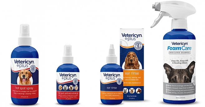 Koiran shampoota voi ostaa joko paikallisista koirakaupoista tai valitsemastasi eläinlääkäristä