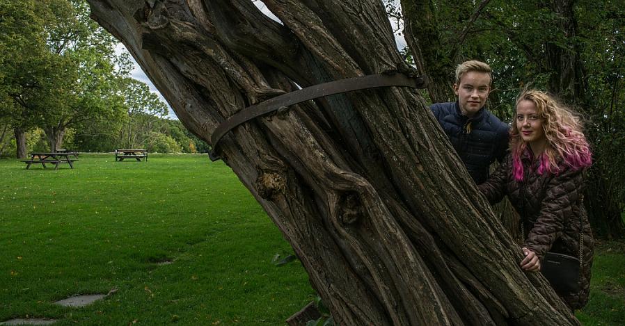 Paranormaalien tutkijoiden työ ei ole niin yksinkertaista kuin se esitetään televisiossa