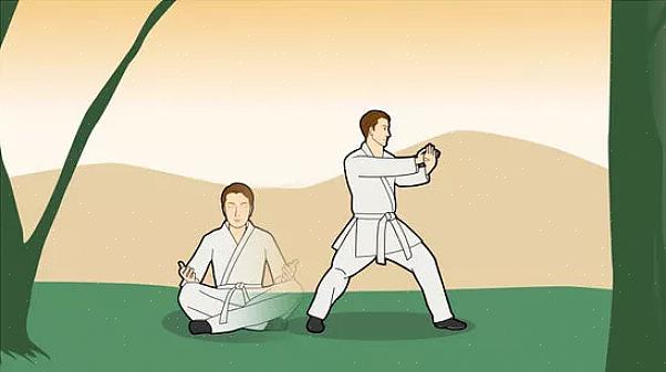 Tutki niin paljon kuin voit karatesta - lämmittelystä venyttelyyn