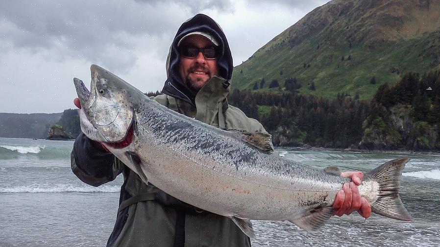 Alaska tarjoaa monenlaisia kalastustoimintoja