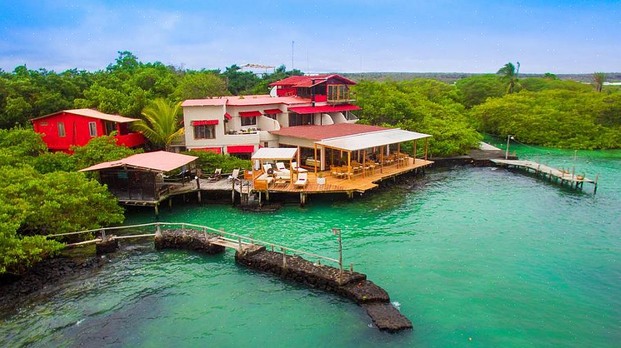 Halpojen hotellien löytäminen ei ole ainoa tapa säästää Galapagos-saarten matkoilla