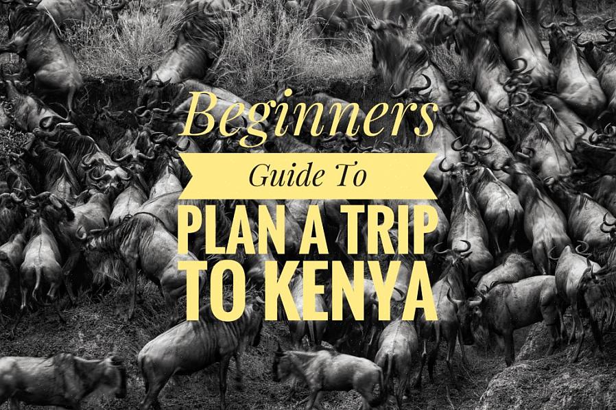 Haluatko käyttää matkatoimistoa matkasi suunnitteluun Keniassa
