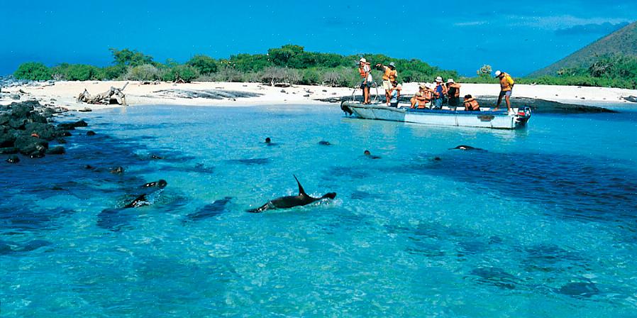 Jotka voivat käydä Galapagos-saarilla joka kausi