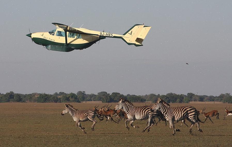 Voit viedä lennot Lontoosta African Safari Airways -sovelluksella saadaksesi sinut Mombasaan