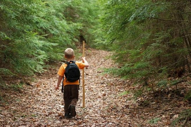 Että olisi erittäin vaikea selviytyä metsässä ilman tulta