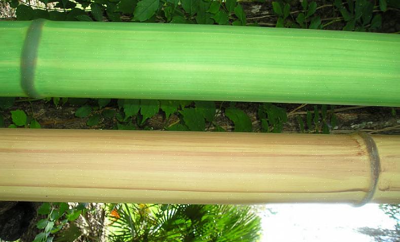 Laita kuuma liima PVC-putken ympärille jäljittelemällä bambuniveliä