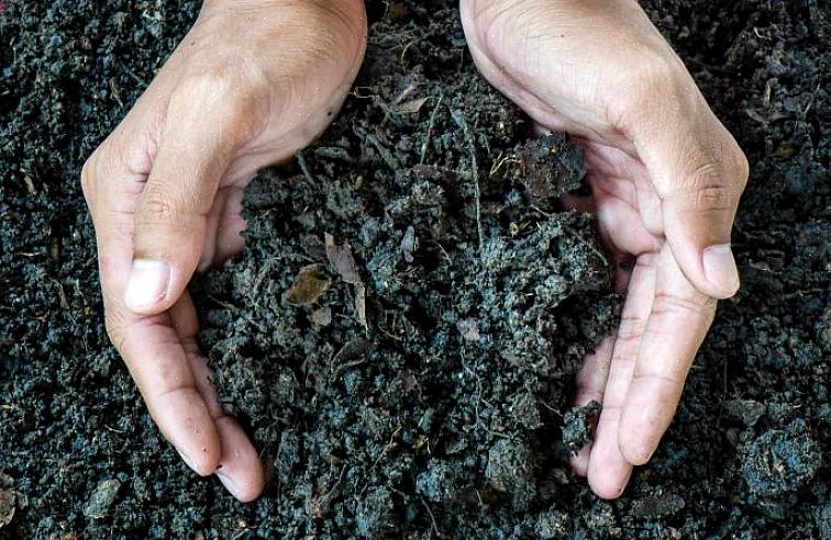 Katso seuraavat 10 tapaa säästää maaperää