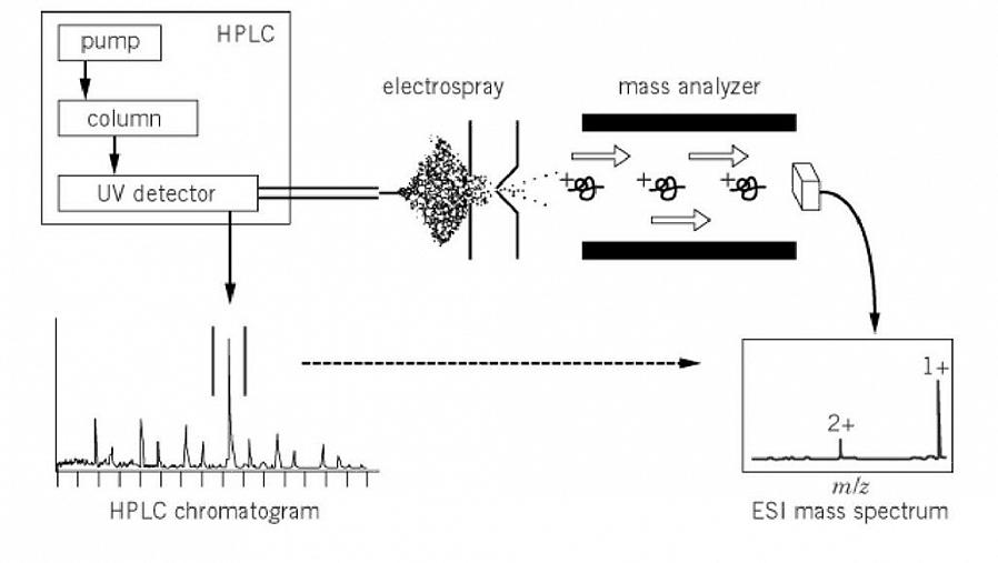 Massaspektrometriaa käytetään tuntemattomien yhdisteiden tunnistamiseen