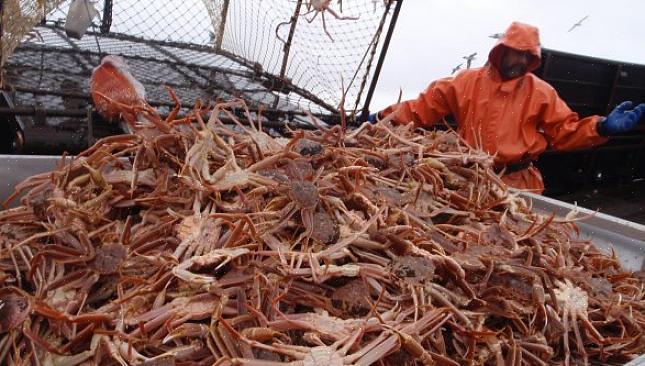 Alaskan kalastusalalla työskenteleminen ei todellakaan vaadi paljon