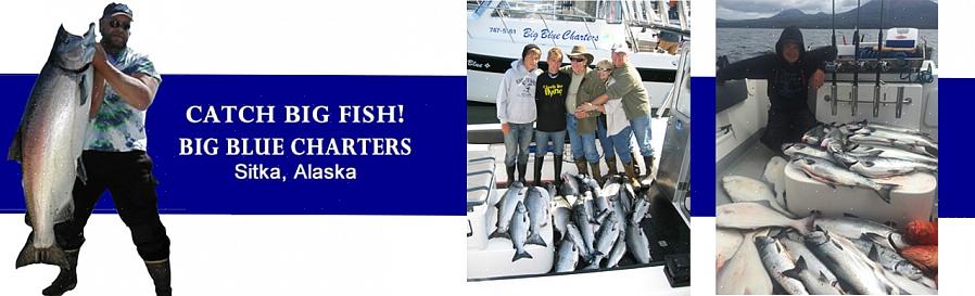 Voit etsiä kalastustöitä Alaskasta vierailemalla eri Alaskan kalastusyritysten verkkosivustoilla